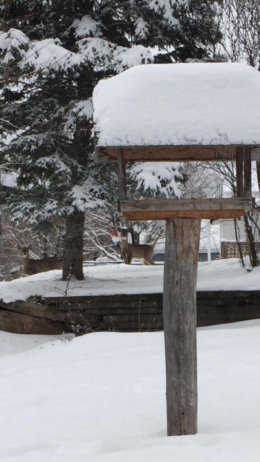 Gite Duchenier Saint-Narcisse-de-Rimouski Exteriér fotografie